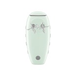 SMEG rankinis mikseris  | 6